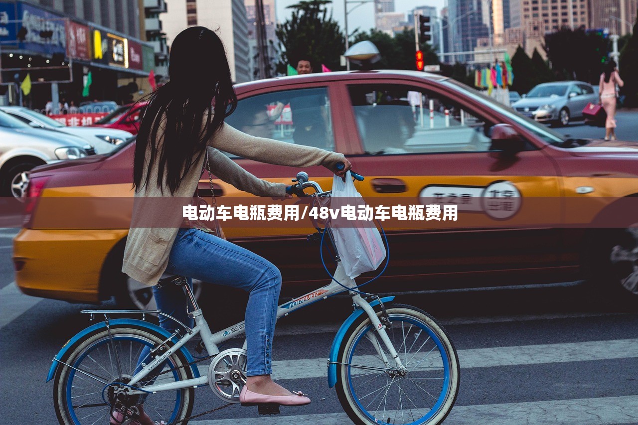电动车电瓶费用/48v电动车电瓶费用 电动车电瓶费用/48v电动车电瓶费用