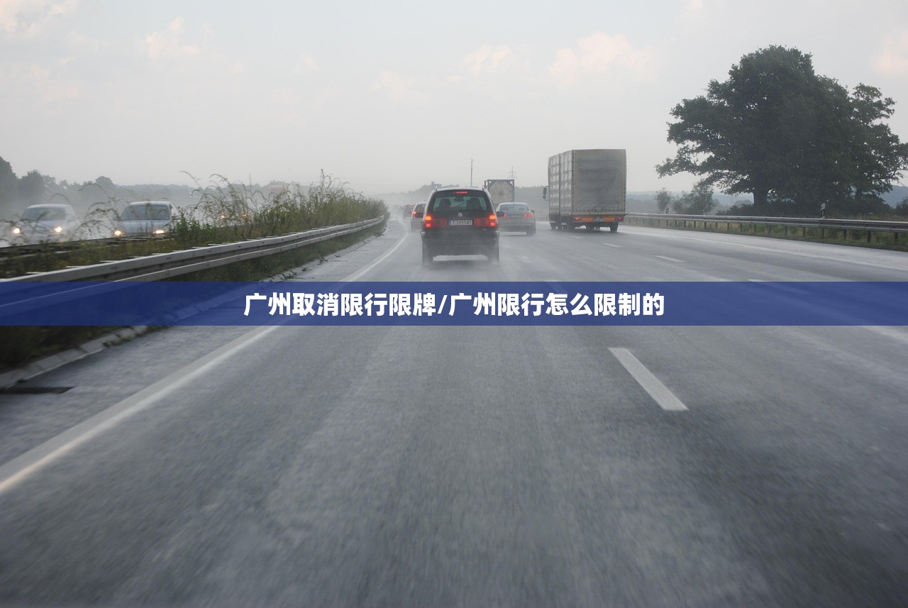 广州取消限行限牌/广州限行怎么限制的 广州取消限行限牌/广州限行怎么限制的