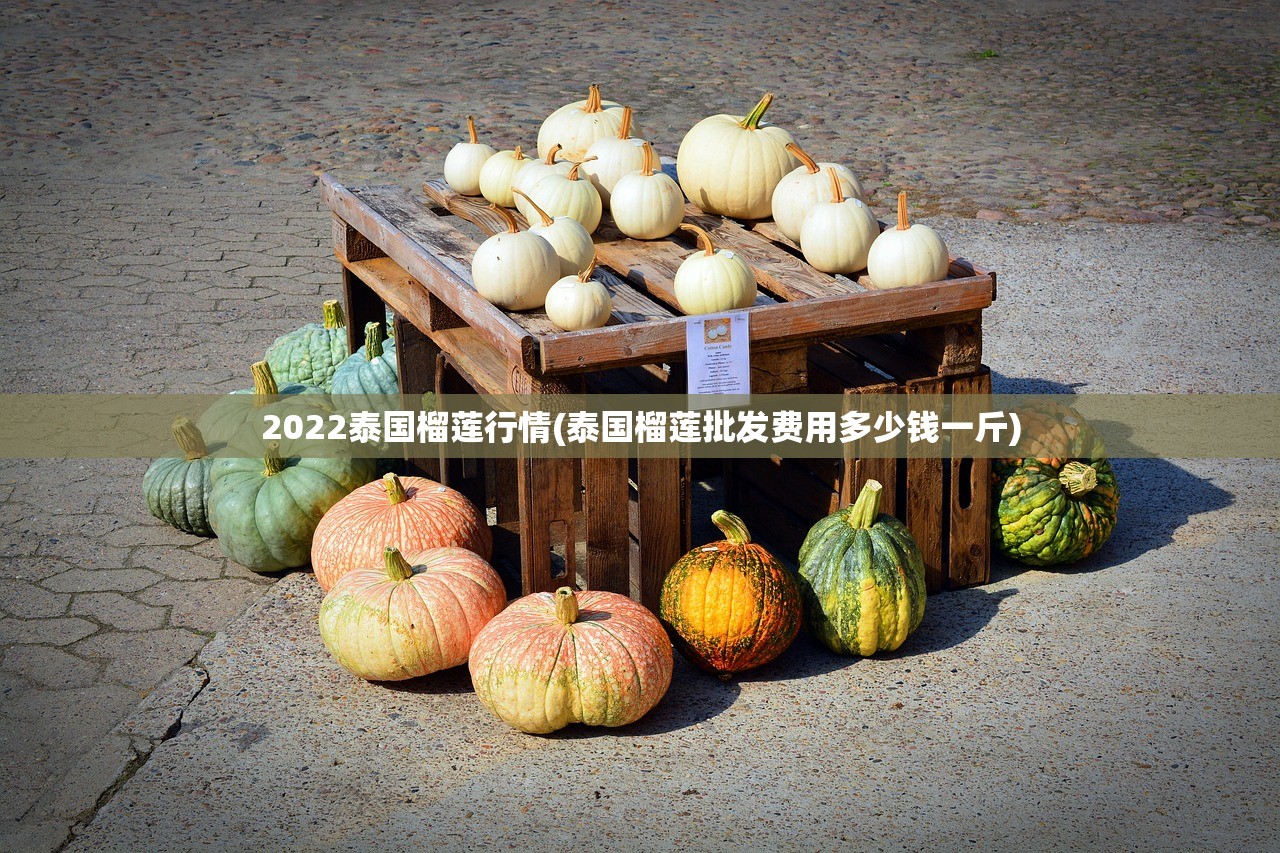 2022泰国榴莲行情(泰国榴莲批发费用多少钱一斤) 2022泰国榴莲行情(泰国榴莲批发费用多少钱一斤)