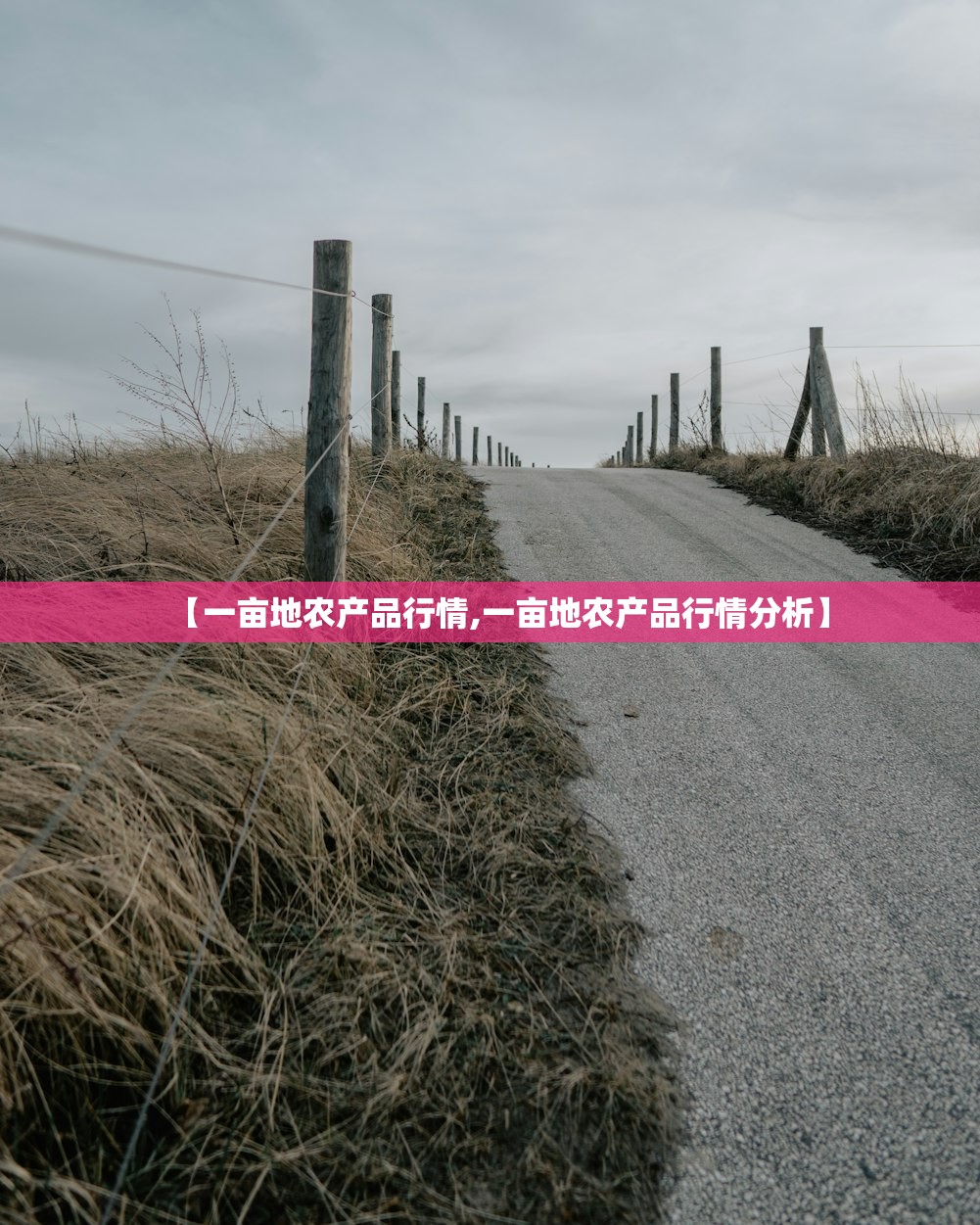 【一亩地农产品行情,一亩地农产品行情分析】