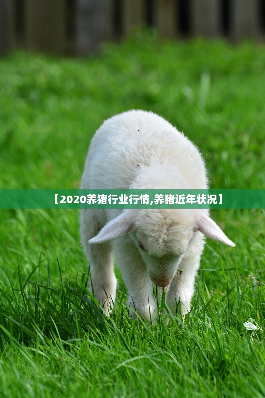 【2020养猪行业行情,养猪近年状况】