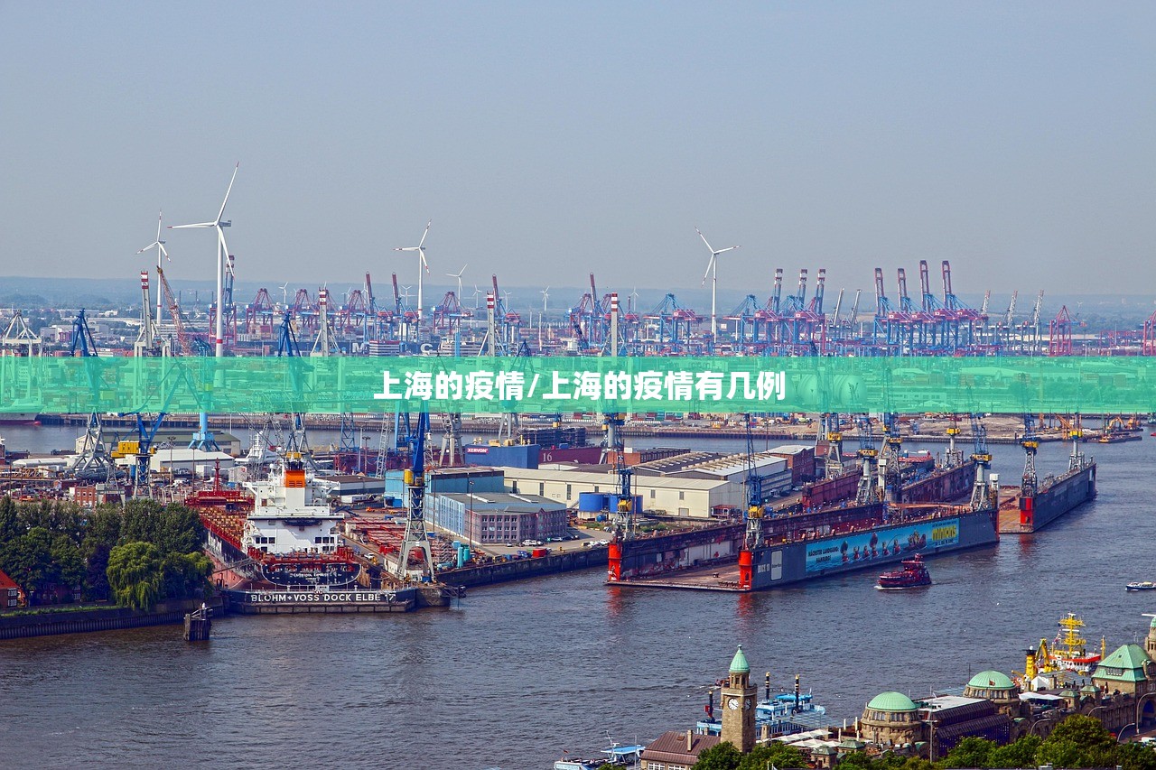 上海的疫情/上海的疫情有几例 上海的疫情/上海的疫情有几例