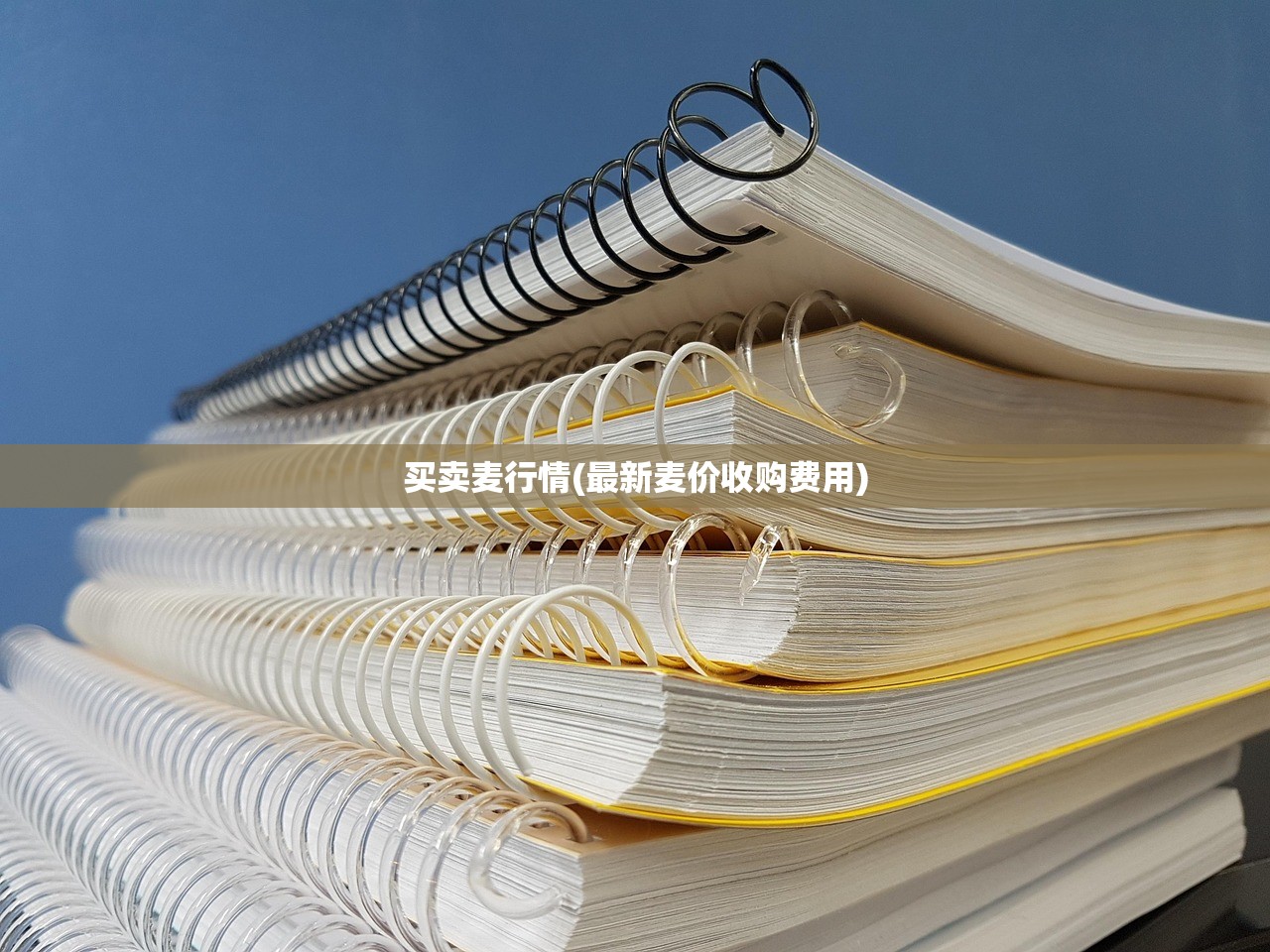 买卖麦行情(最新麦价收购费用)