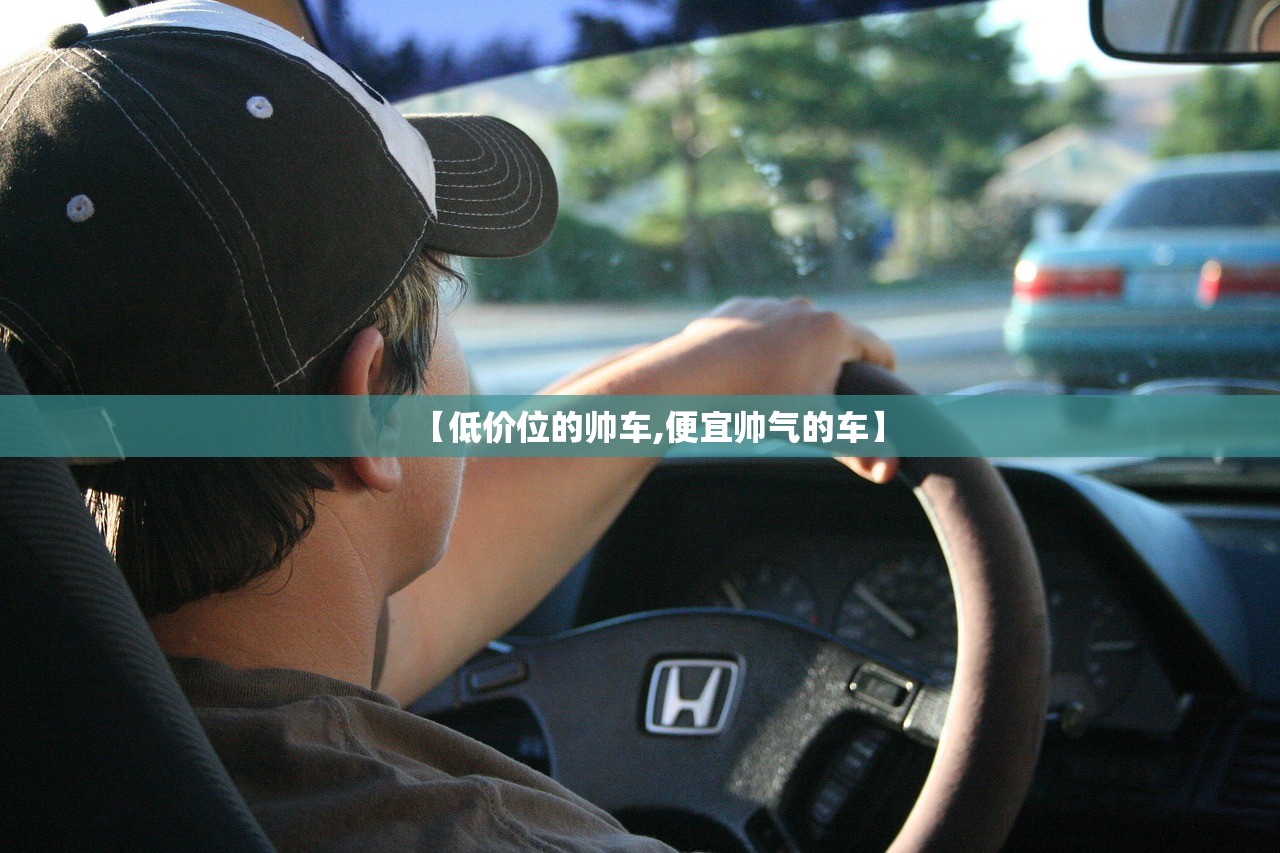 【低价位的帅车,便宜帅气的车】 【低价位的帅车,便宜帅气的车】