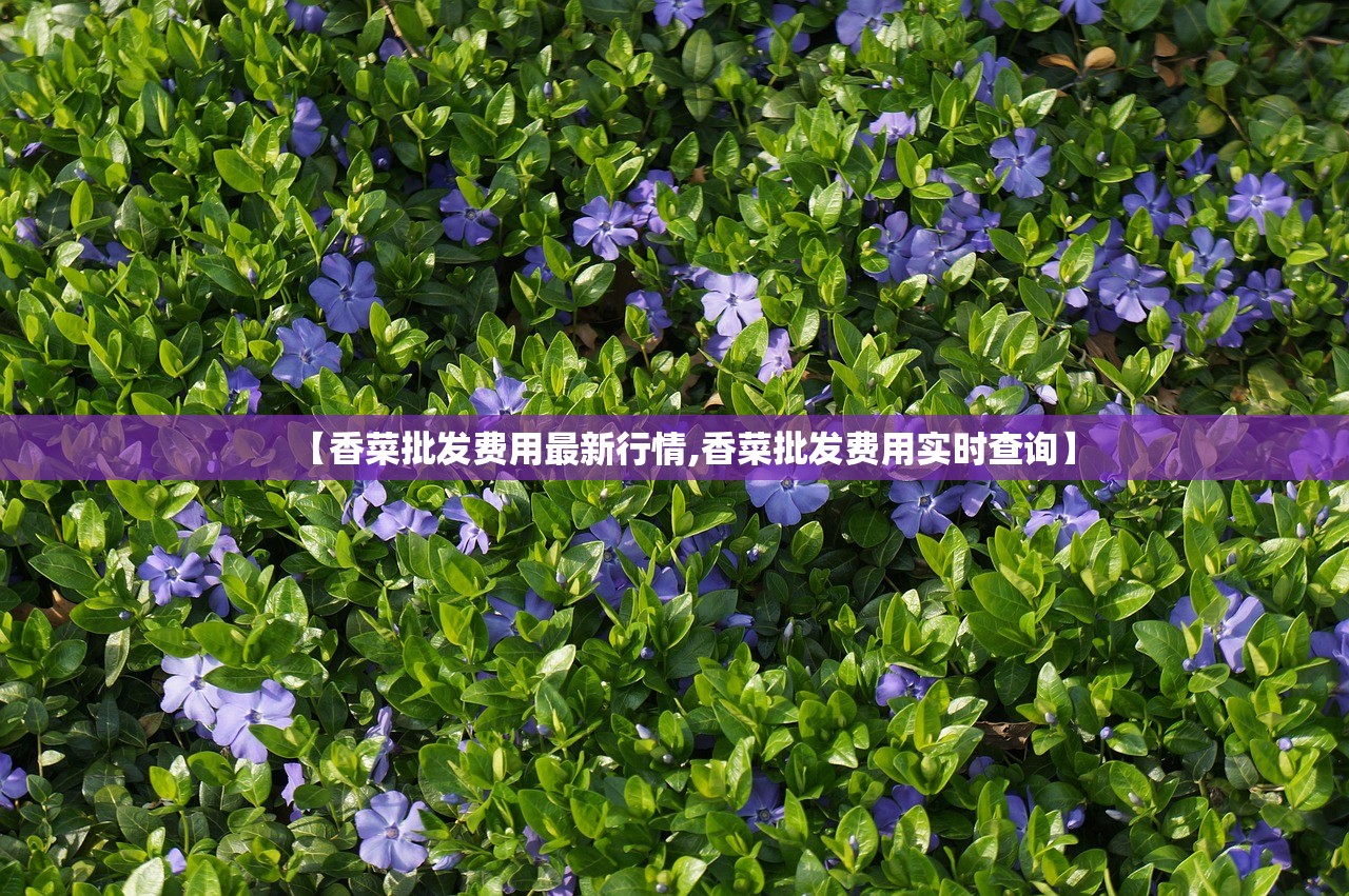 【香菜批发费用最新行情,香菜批发费用实时查询】