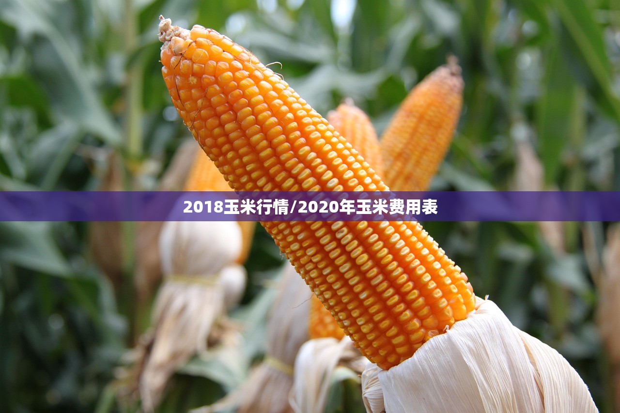 2018玉米行情/2020年玉米费用表 2018玉米行情/2020年玉米费用表