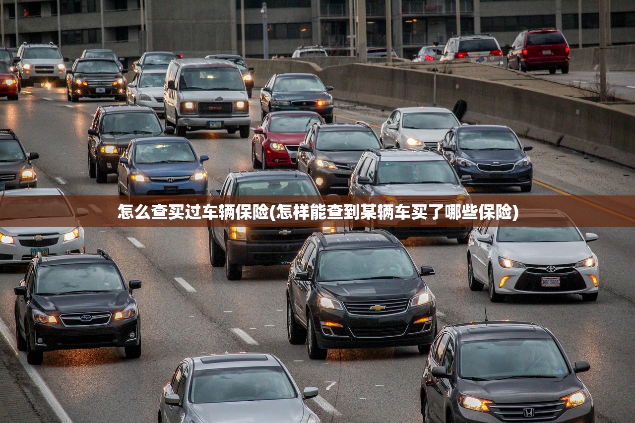怎么查买过车辆保险(怎样能查到某辆车买了哪些保险)