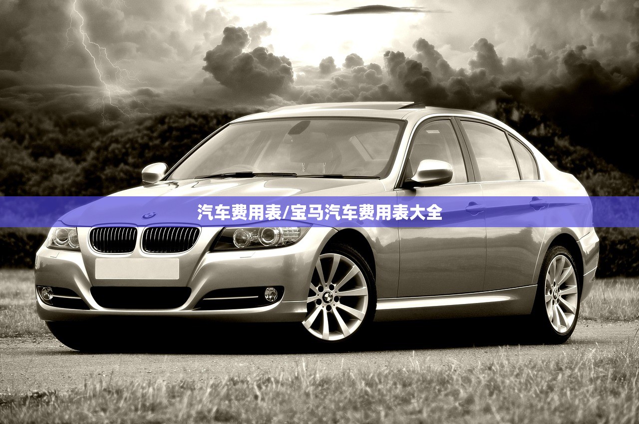 汽车费用表/宝马汽车费用表大全