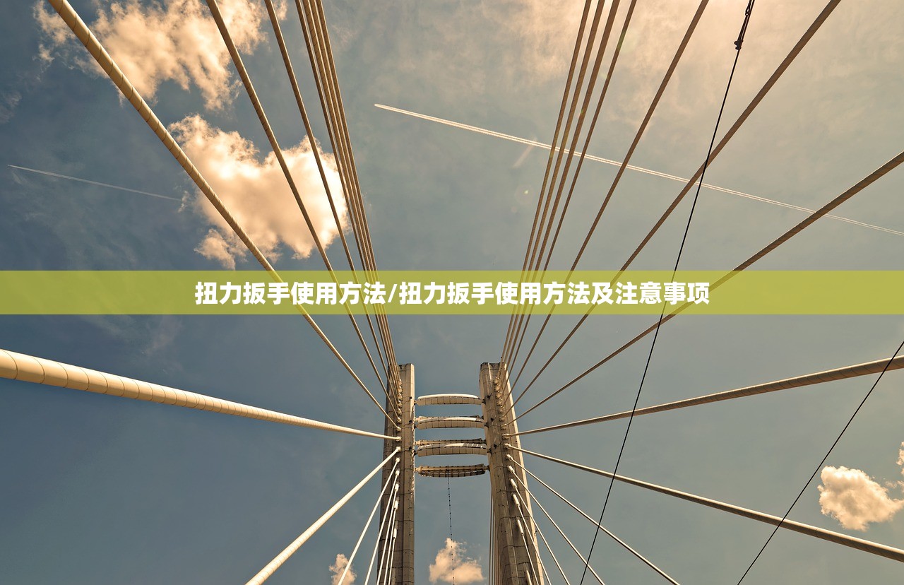 扭力扳手使用方法/扭力扳手使用方法及注意事项 扭力扳手使用方法/扭力扳手使用方法及注意事项