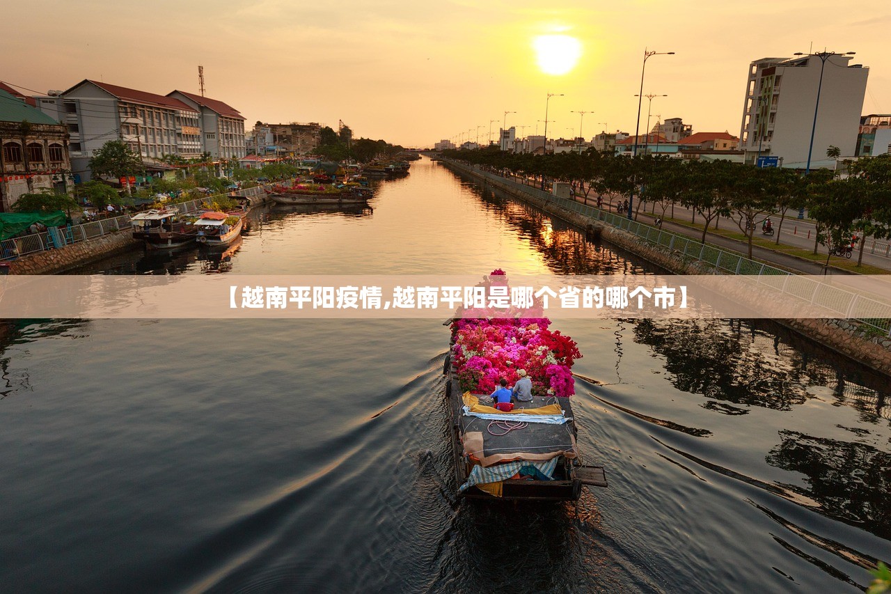 【越南平阳疫情,越南平阳是哪个省的哪个市】