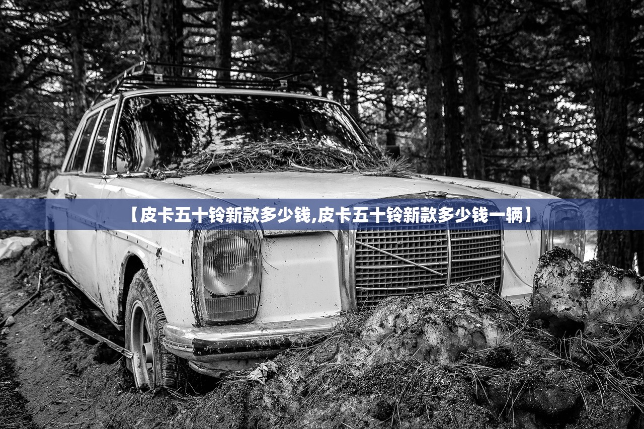 【皮卡五十铃新款多少钱,皮卡五十铃新款多少钱一辆】