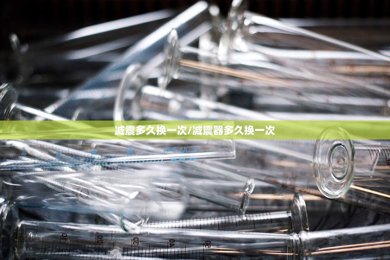 减震多久换一次/减震器多久换一次