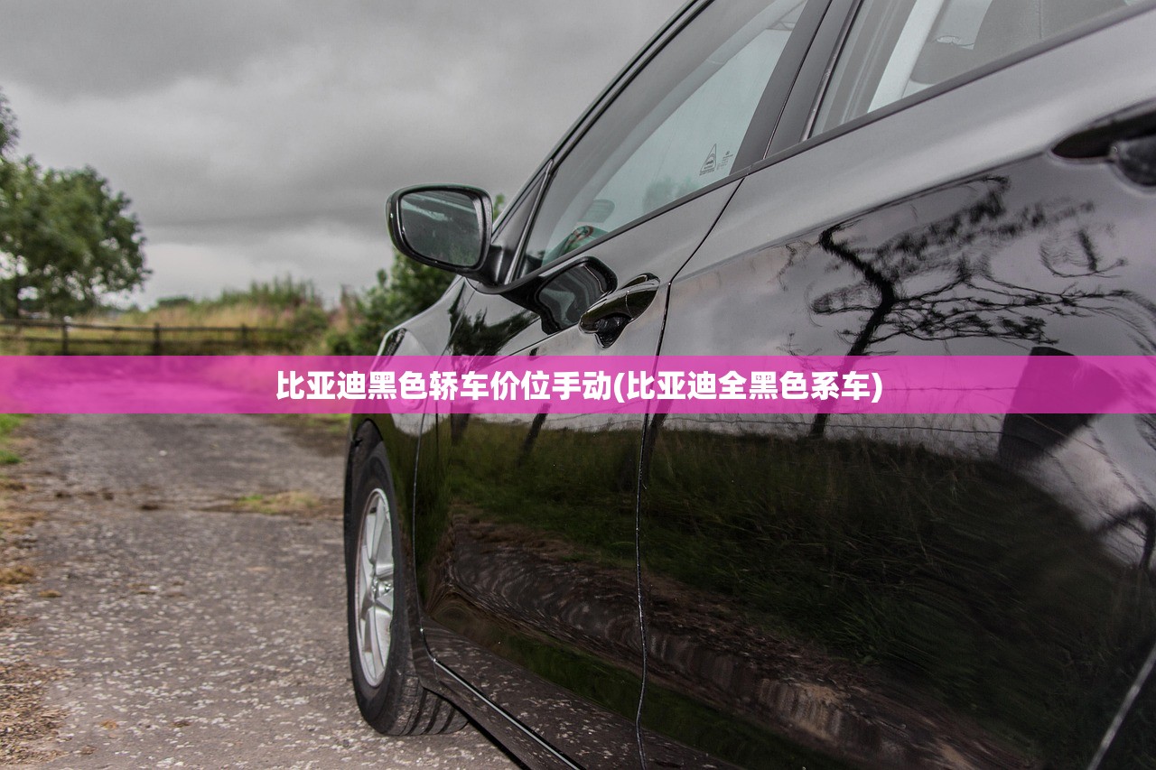 比亚迪黑色轿车价位手动(比亚迪全黑色系车) 比亚迪黑色轿车价位手动(比亚迪全黑色系车)