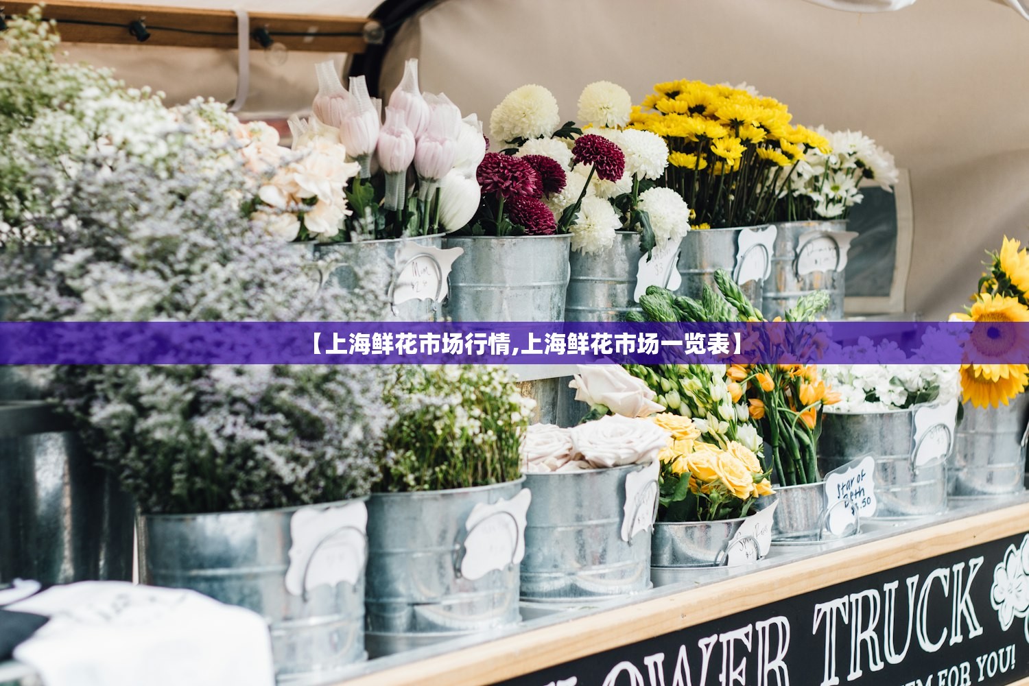 【上海鲜花市场行情,上海鲜花市场一览表】 【上海鲜花市场行情,上海鲜花市场一览表】