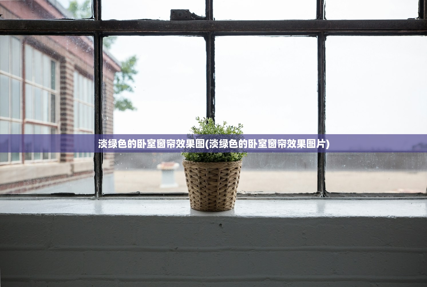 淡绿色的卧室窗帘效果图(淡绿色的卧室窗帘效果图片)