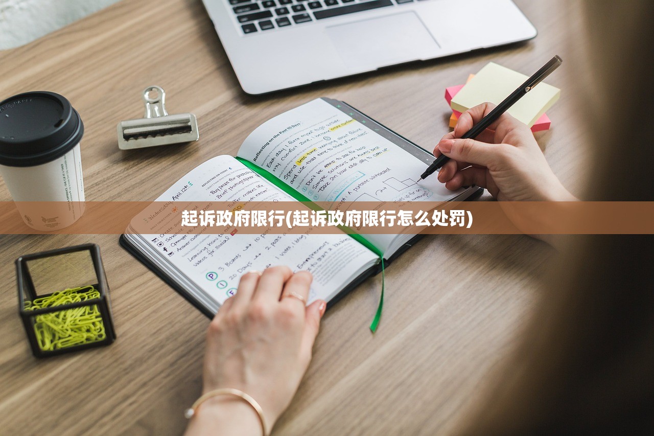 起诉政府限行(起诉政府限行怎么处罚)