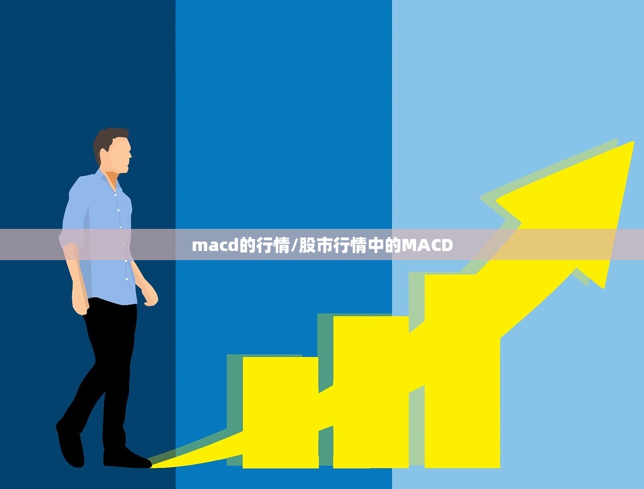 macd的行情/股市行情中的MACD