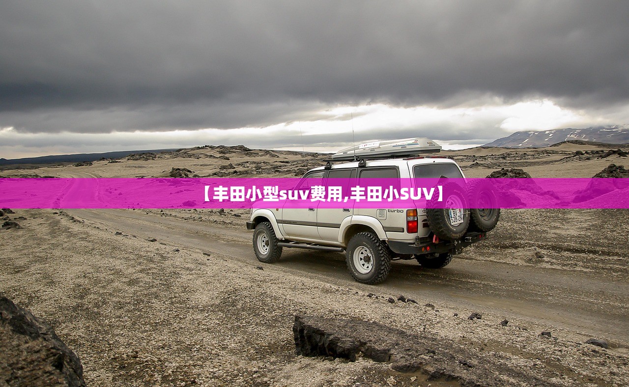 【丰田小型suv费用,丰田小SUV】