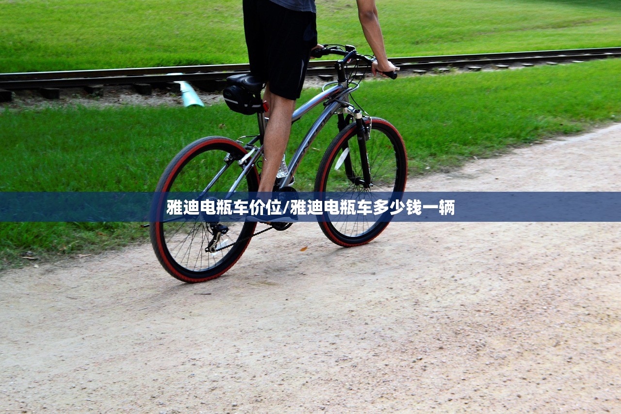 雅迪电瓶车价位/雅迪电瓶车多少钱一辆
