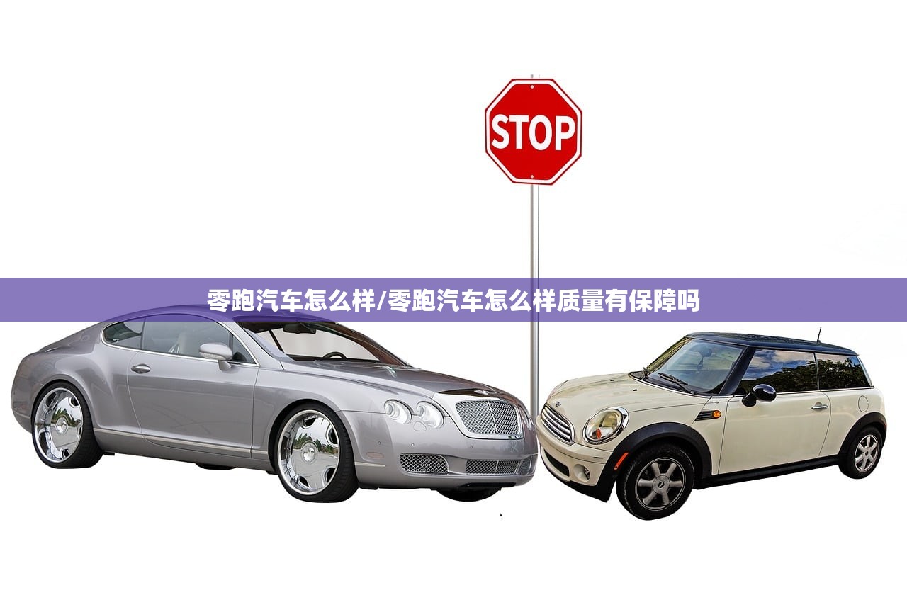 零跑汽车怎么样/零跑汽车怎么样质量有保障吗