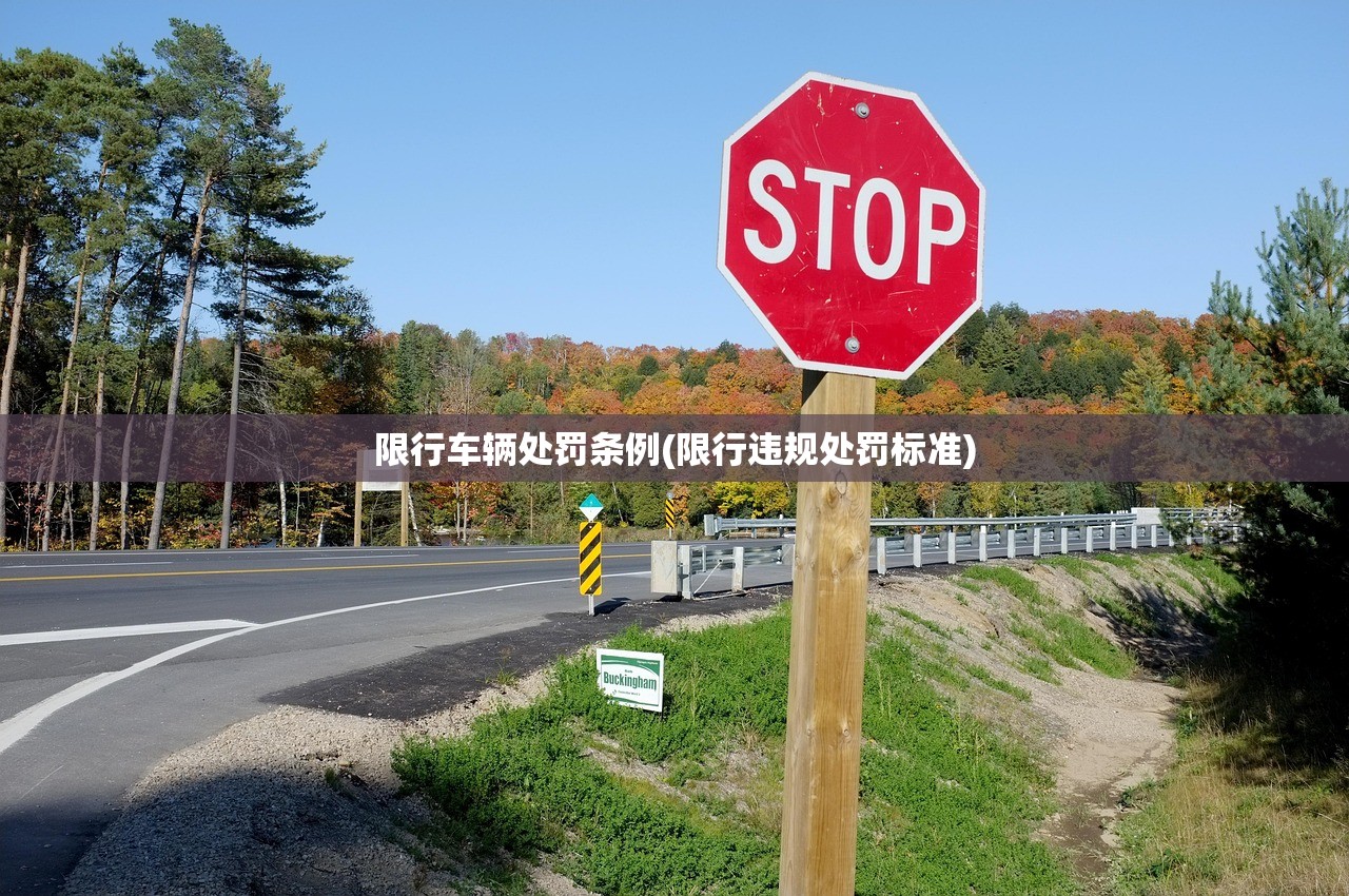 限行车辆处罚条例(限行违规处罚标准) 限行车辆处罚条例(限行违规处罚标准)