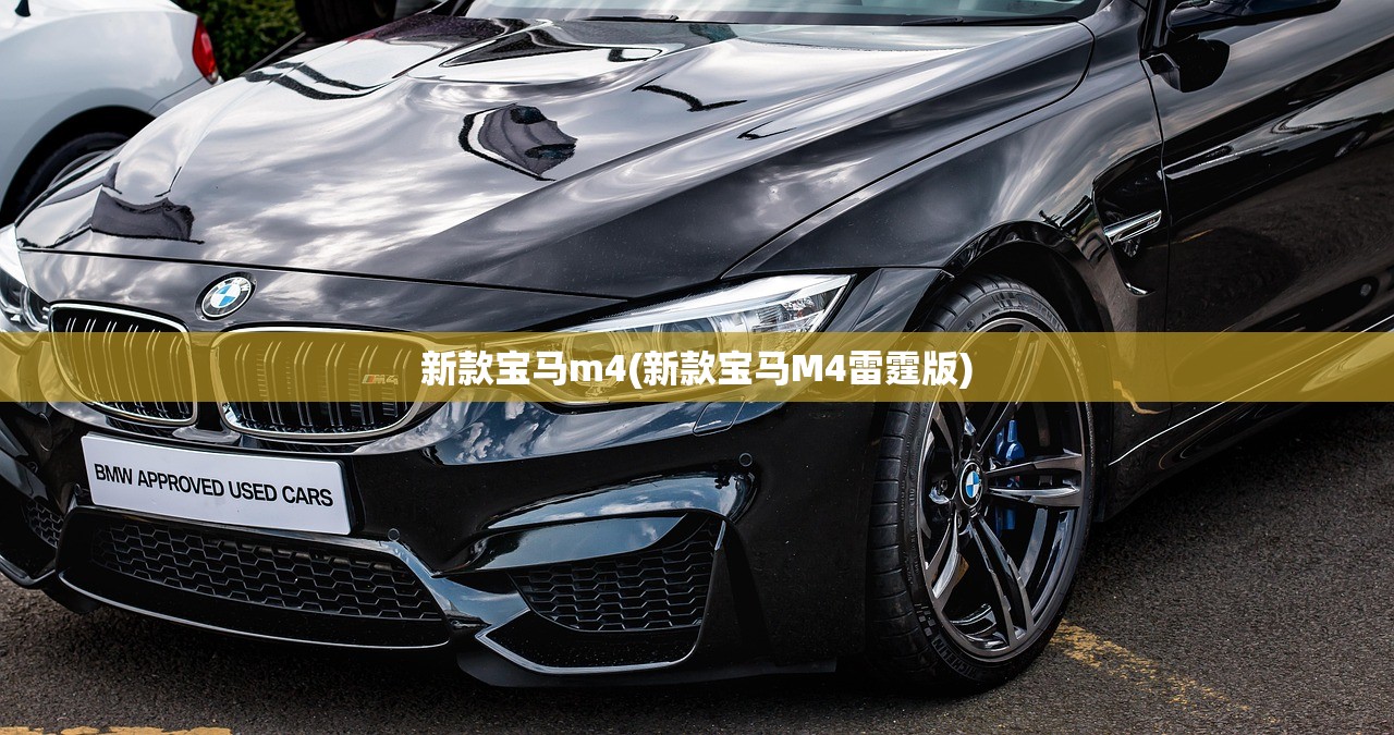 新款宝马m4(新款宝马M4雷霆版) 新款宝马m4(新款宝马M4雷霆版)
