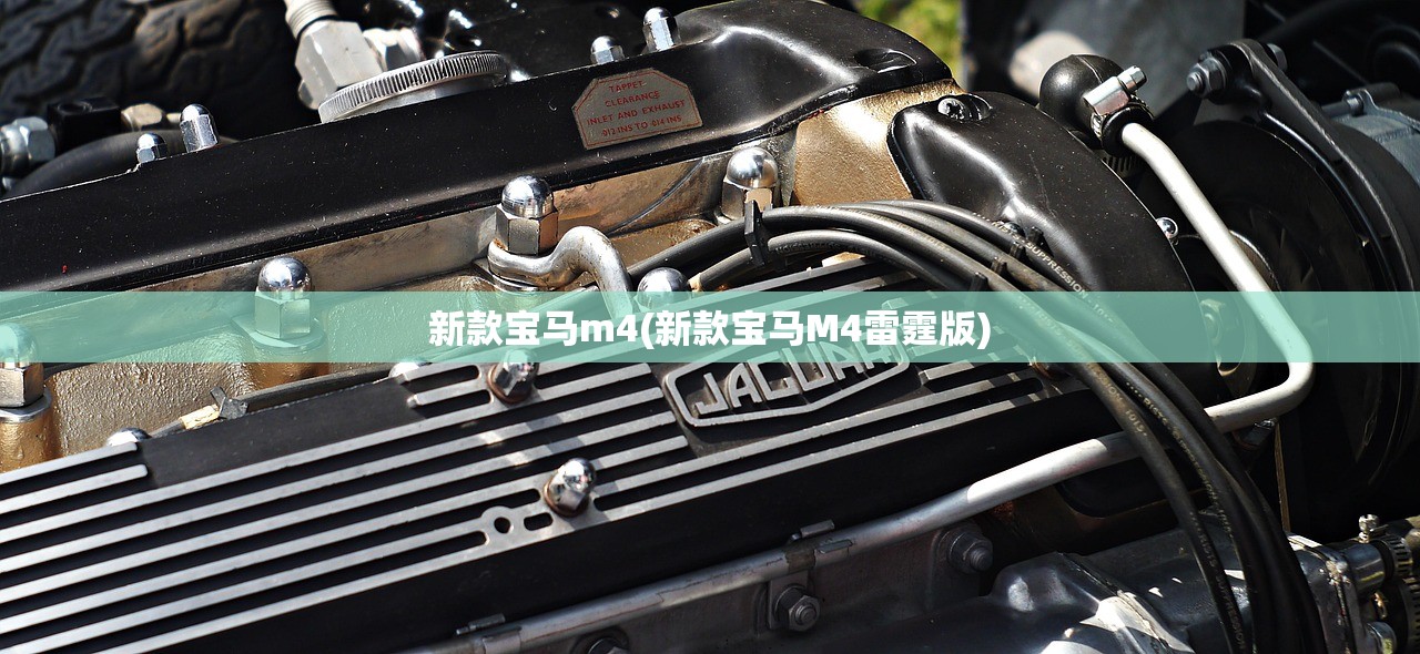 新款宝马m4(新款宝马M4雷霆版) 新款宝马m4(新款宝马M4雷霆版)