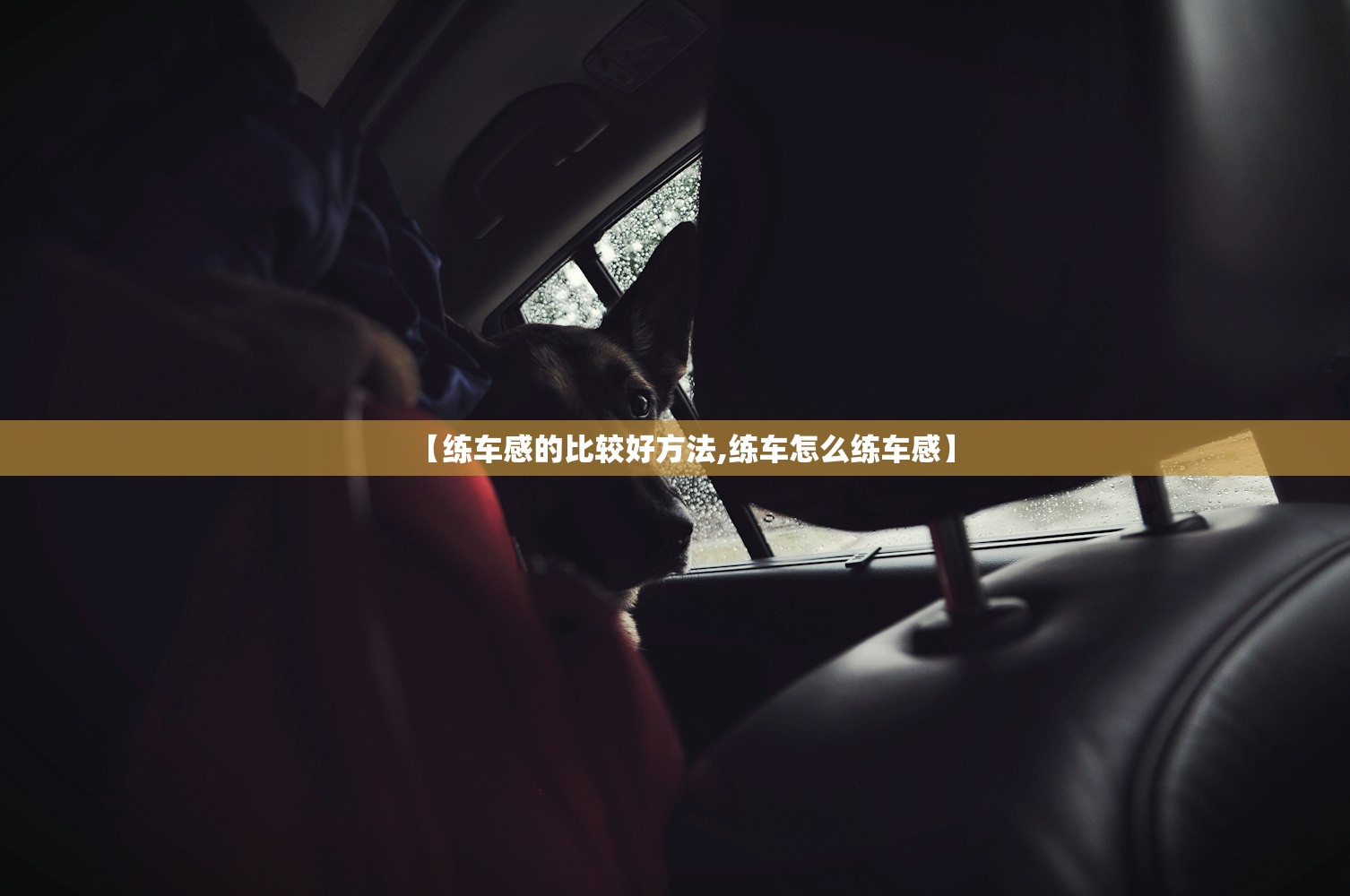 【练车感的比较好方法,练车怎么练车感】 【练车感的比较好方法,练车怎么练车感】