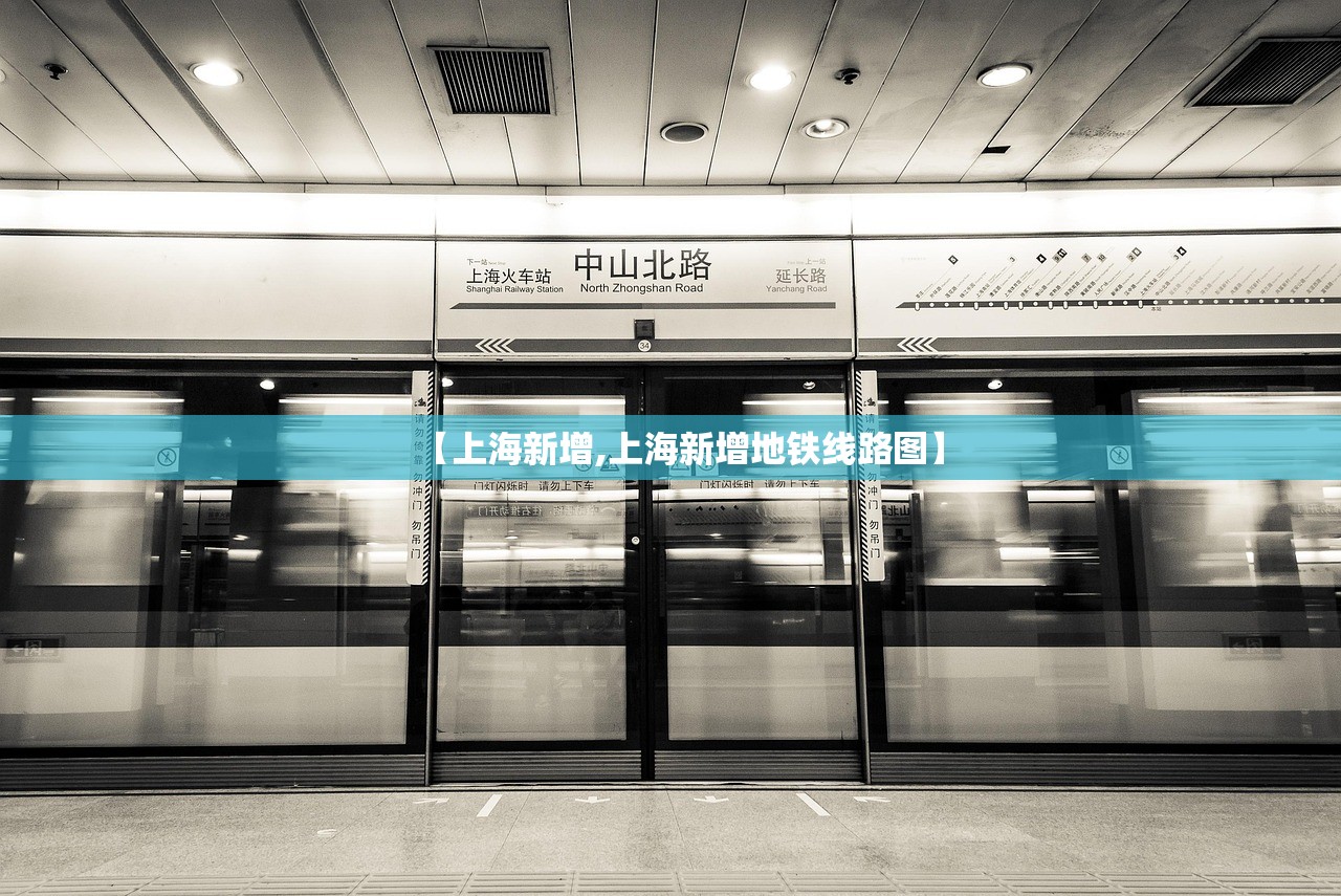 【上海新增,上海新增地铁线路图】