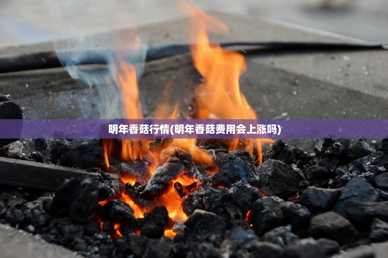 明年香菇行情(明年香菇费用会上涨吗)