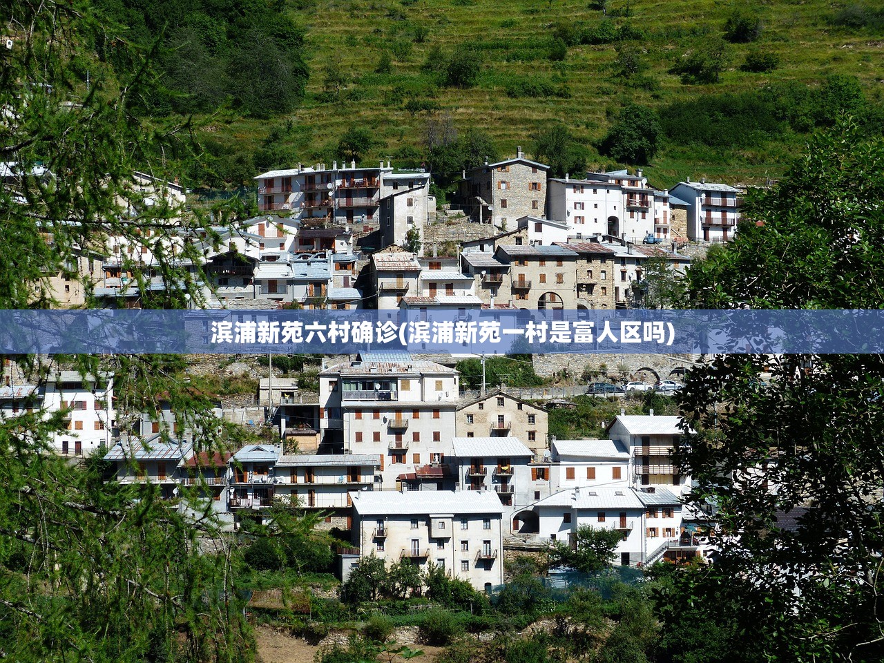 滨浦新苑六村确诊(滨浦新苑一村是富人区吗)
