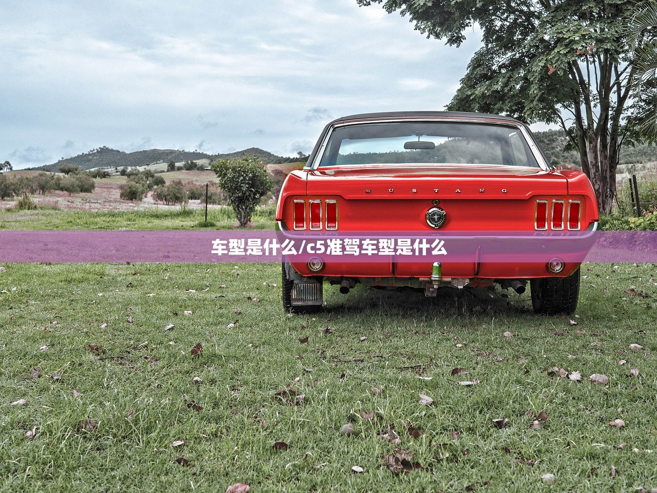 车型是什么/c5准驾车型是什么 车型是什么/c5准驾车型是什么