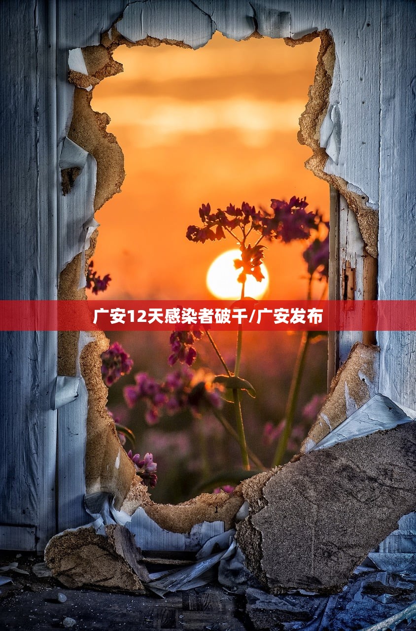 广安12天感染者破千/广安发布