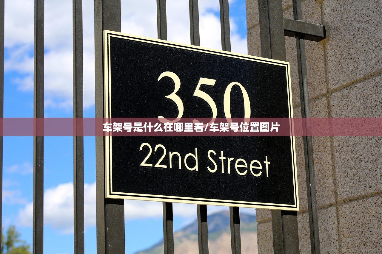 车架号是什么在哪里看/车架号位置图片