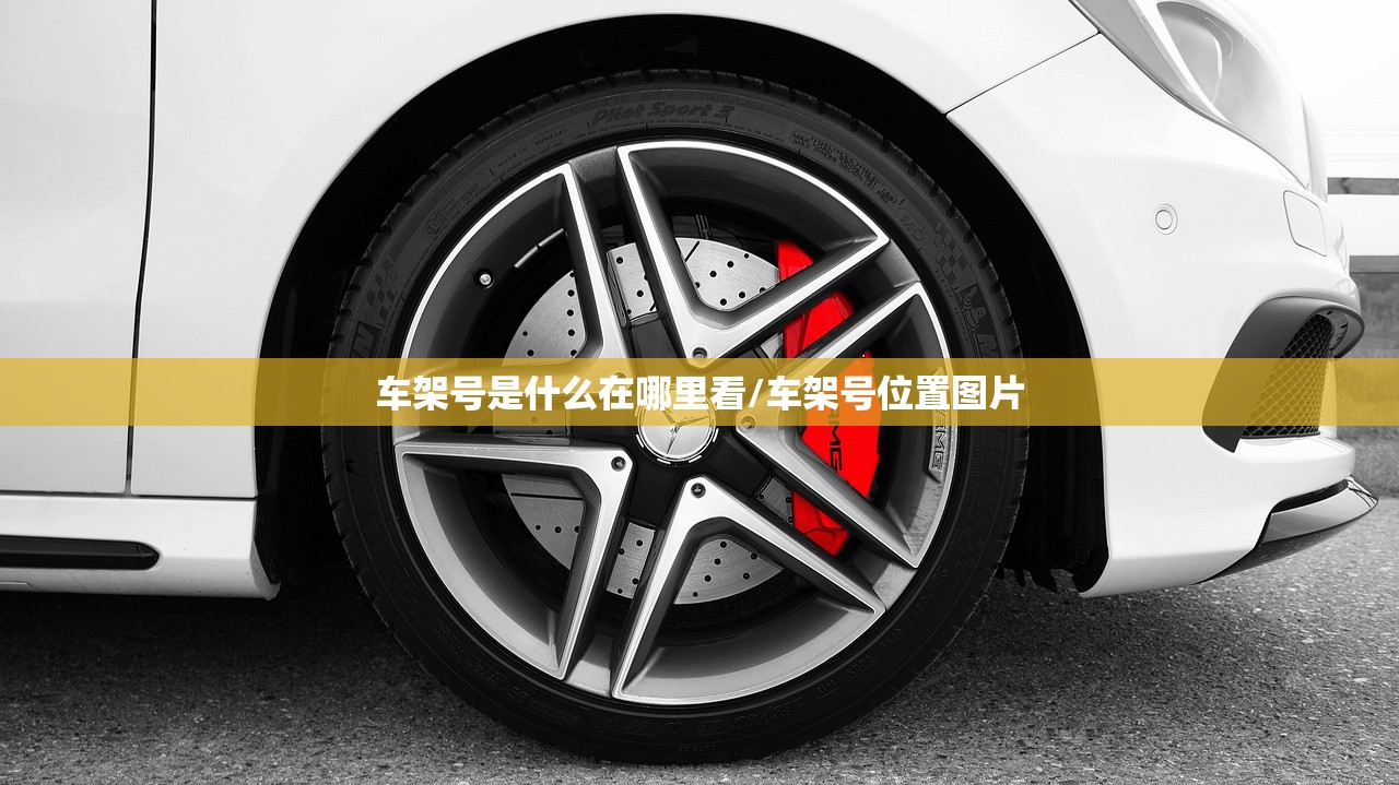 车架号是什么在哪里看/车架号位置图片