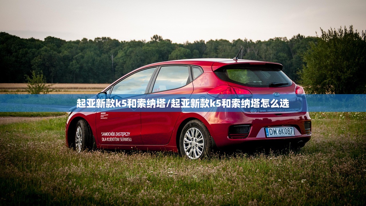起亚新款k5和索纳塔/起亚新款k5和索纳塔怎么选