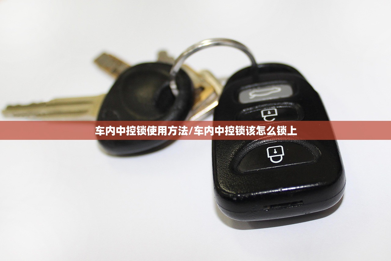 车内中控锁使用方法/车内中控锁该怎么锁上
