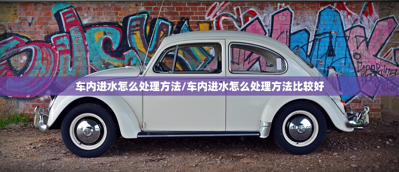车内进水怎么处理方法/车内进水怎么处理方法比较好