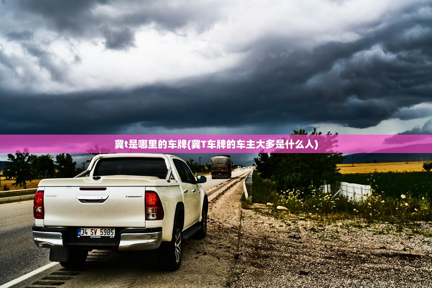 冀t是哪里的车牌(冀T车牌的车主大多是什么人)