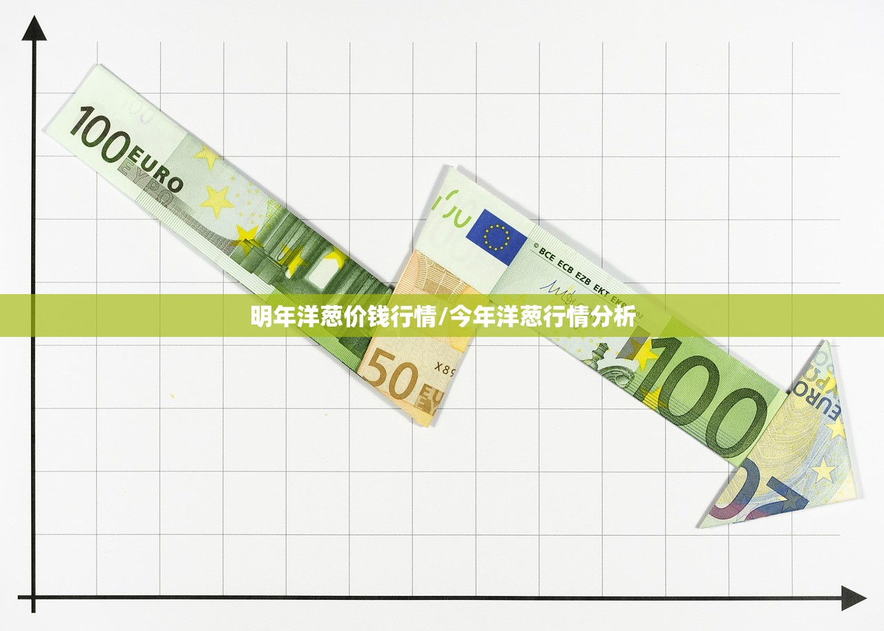 明年洋葱价钱行情/今年洋葱行情分析