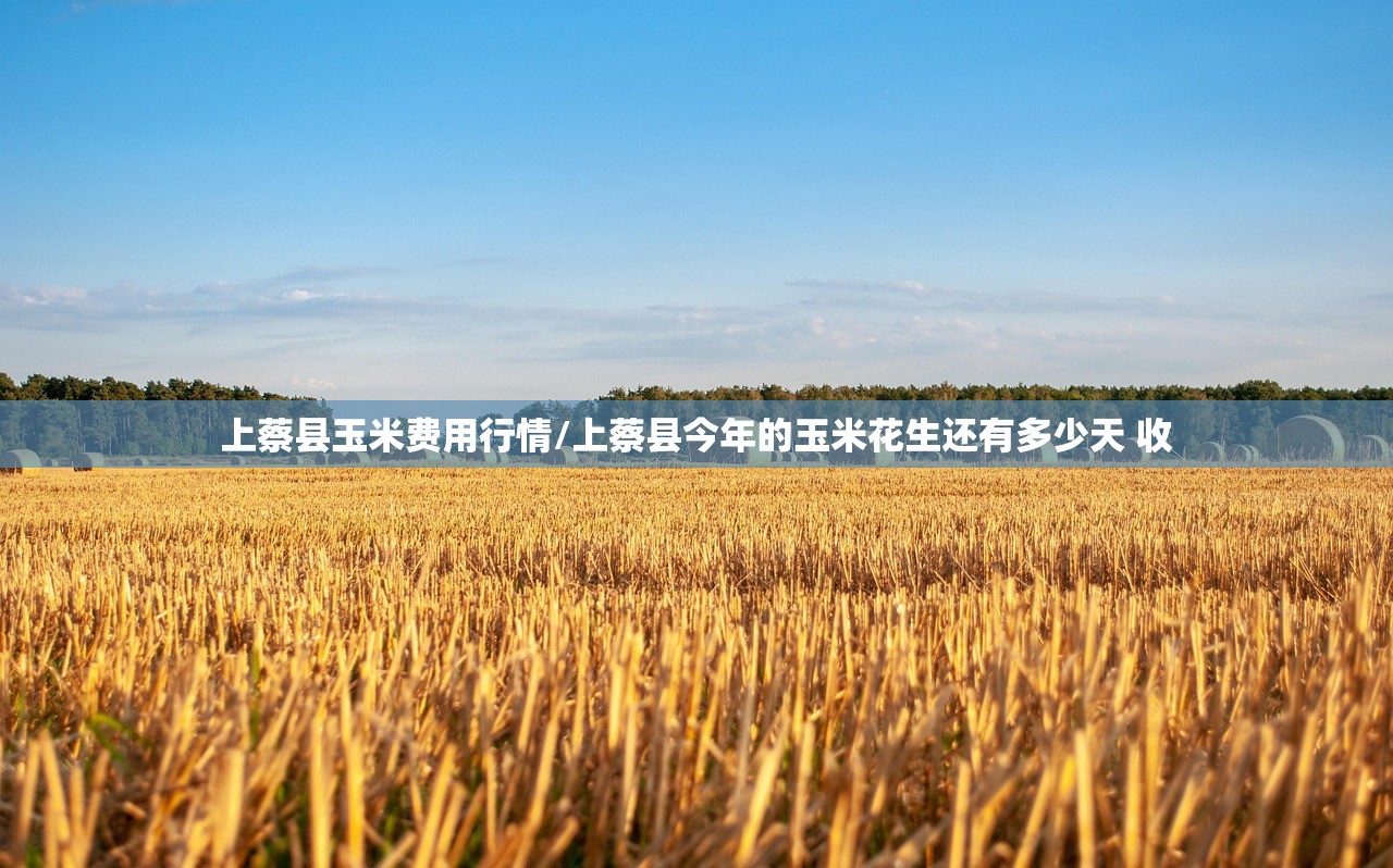 上蔡县玉米费用行情/上蔡县今年的玉米花生还有多少天 收