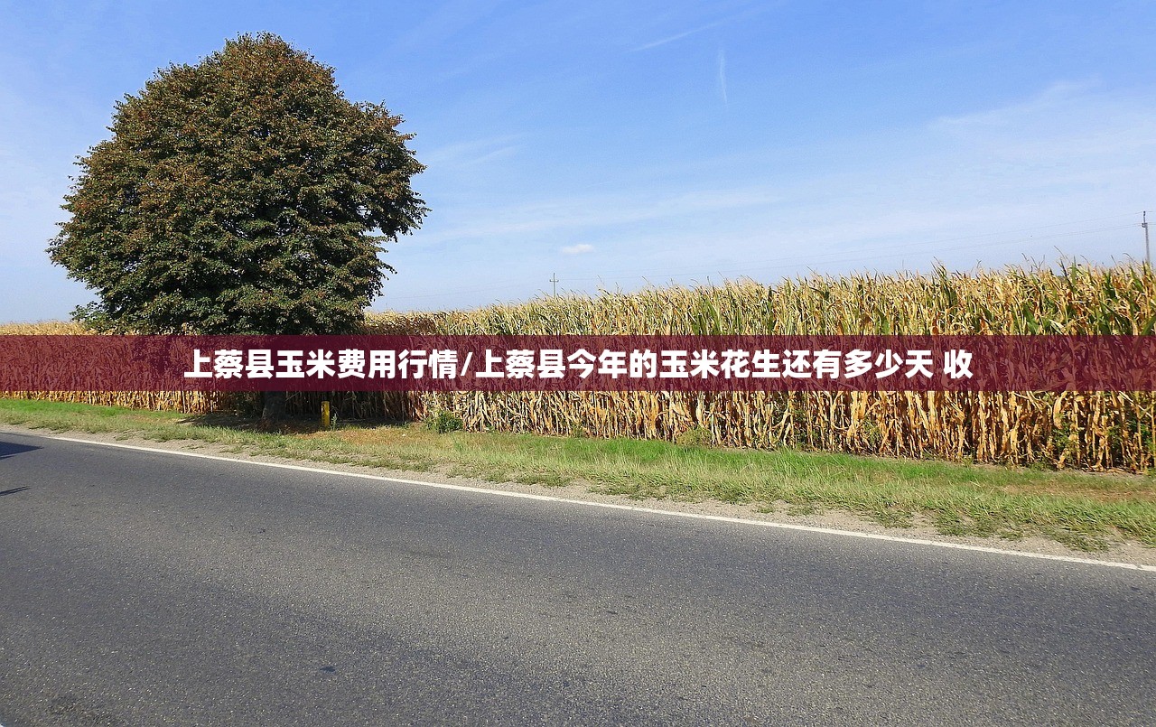 上蔡县玉米费用行情/上蔡县今年的玉米花生还有多少天 收