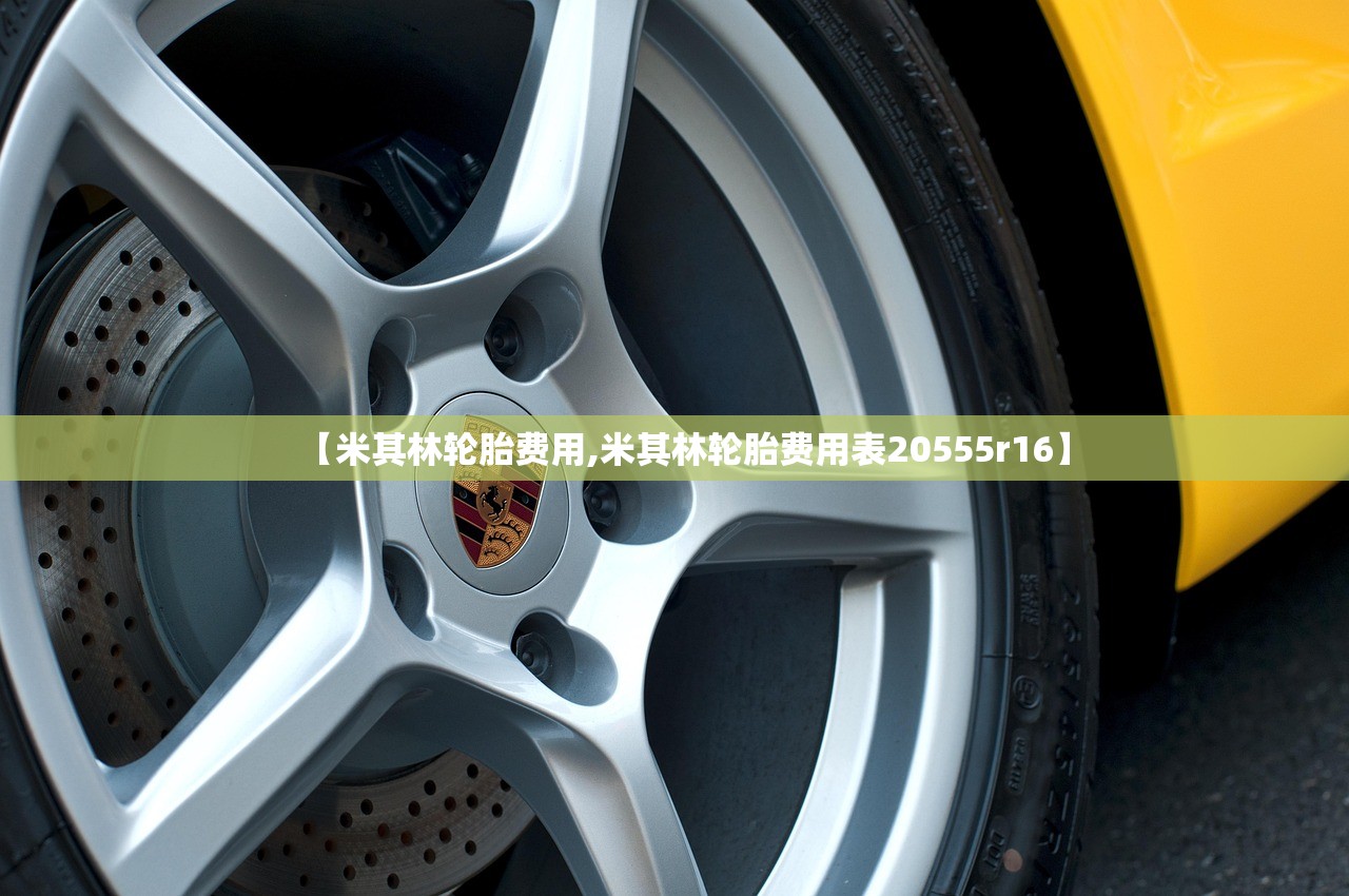【米其林轮胎费用,米其林轮胎费用表20555r16】