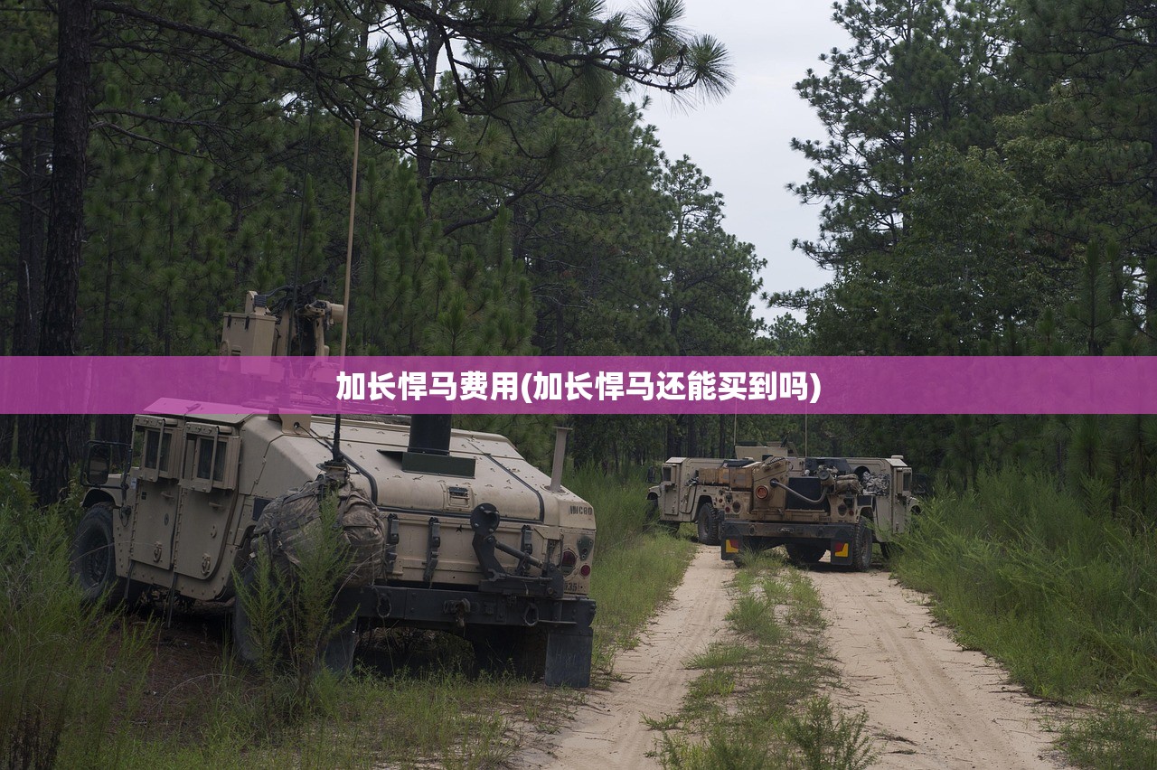 加长悍马费用(加长悍马还能买到吗)
