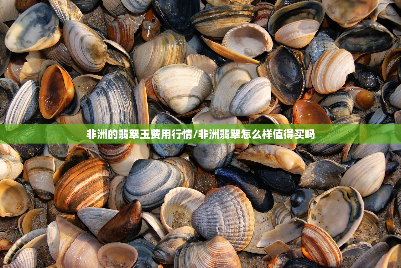 非洲的翡翠玉费用行情/非洲翡翠怎么样值得买吗