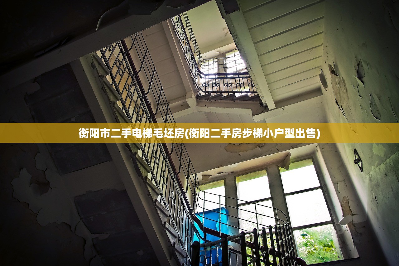 衡阳市二手电梯毛坯房(衡阳二手房步梯小户型出售) 衡阳市二手电梯毛坯房(衡阳二手房步梯小户型出售)