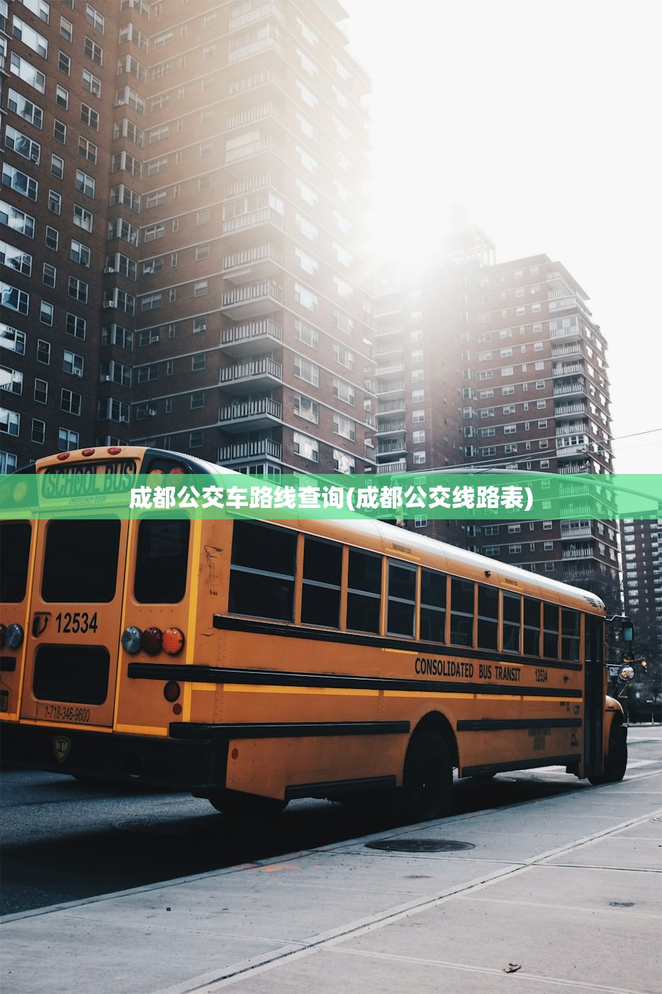 成都公交车路线查询(成都公交线路表)
