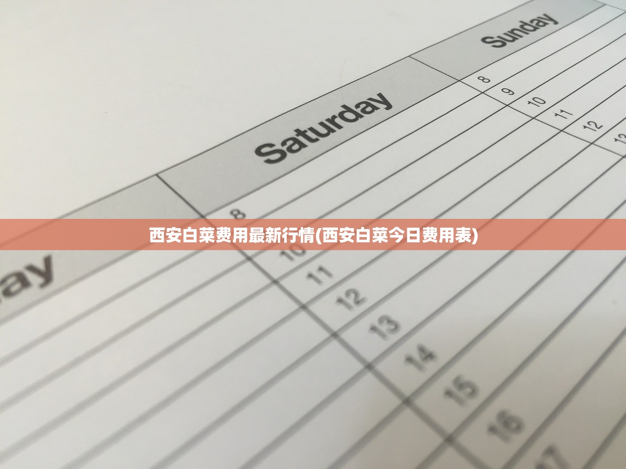 西安白菜费用最新行情(西安白菜今日费用表)