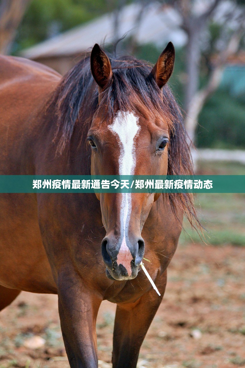 郑州疫情最新通告今天/郑州最新疫情动态