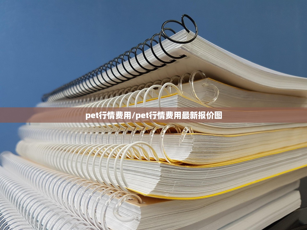 pet行情费用/pet行情费用最新报价图